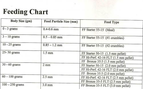 English Mastiff Puppy Feeding Chart