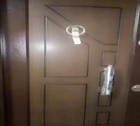 turkey classic security door