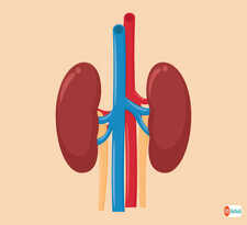The best Kidney Dialysis Treatment in India