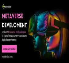 Metaverse Development Company