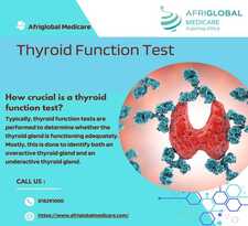 Thyroid Function Test