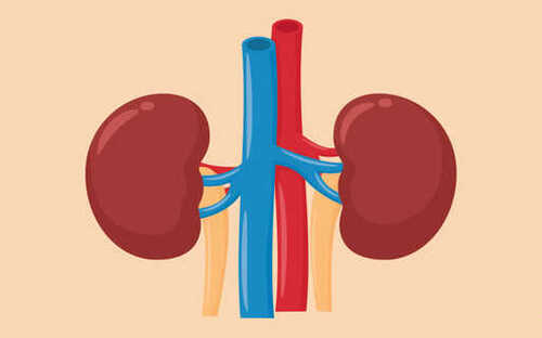 The best Kidney Dialysis Treatment in India