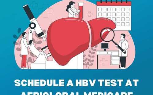 HBV test