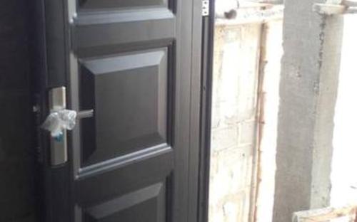 stainless steel door