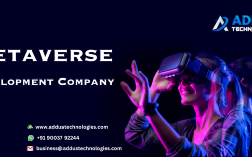 Metaverse Development Company