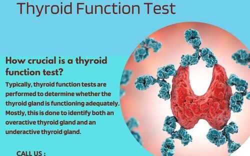 Thyroid Function Test