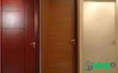 solid wooden doors