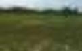 Land Picture 2