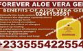 FOREVER ALOE VERA GEL